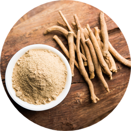Everything You Need to Know About Ashwagandha Powder