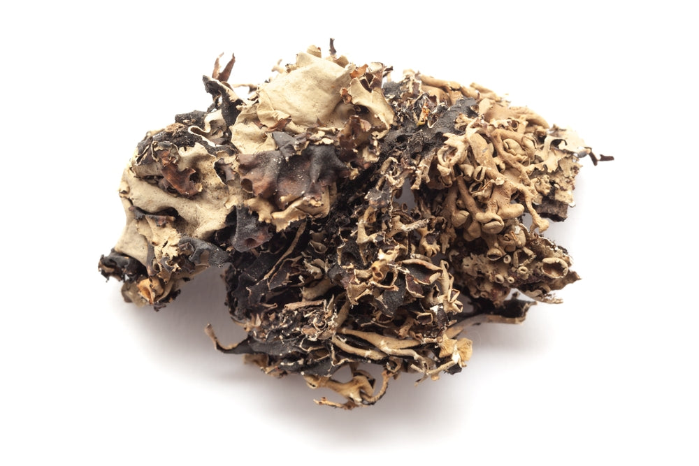 Aiva Dagad Phool | Stone Flower Spice | Kalpasi Masala | Black Lichen | Indian Cooking Ingredient | Biryani Seasoning