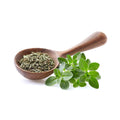 Dried whole thyme leaves / Tomillo Entero / Thymus vulgaris L.