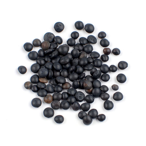 Black Beluga Lentils