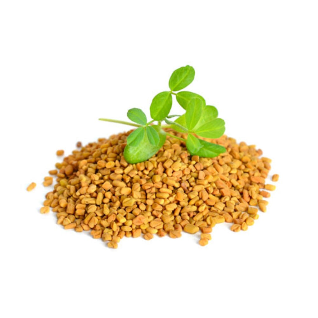where to buy fenugreek seeds to plant Fenugreek Seeds (Methi) – Aiva Products